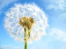 ʪÕîµÄ»¼²¡ÒòËØ