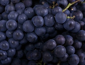 °×ñ°·ç»¼ÕßÒ˳ÔÄÄЩˮ¹û