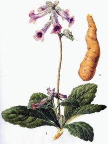 鱼鳞病治疗用偏方好不好