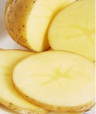 关于湿疹治疗的偏方需知的常识