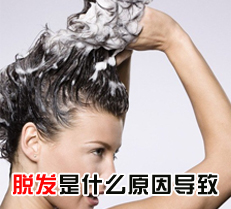 脱发是什么原因导致