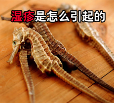 ʪÕîÊÇÔõôÒýÆðµÄ