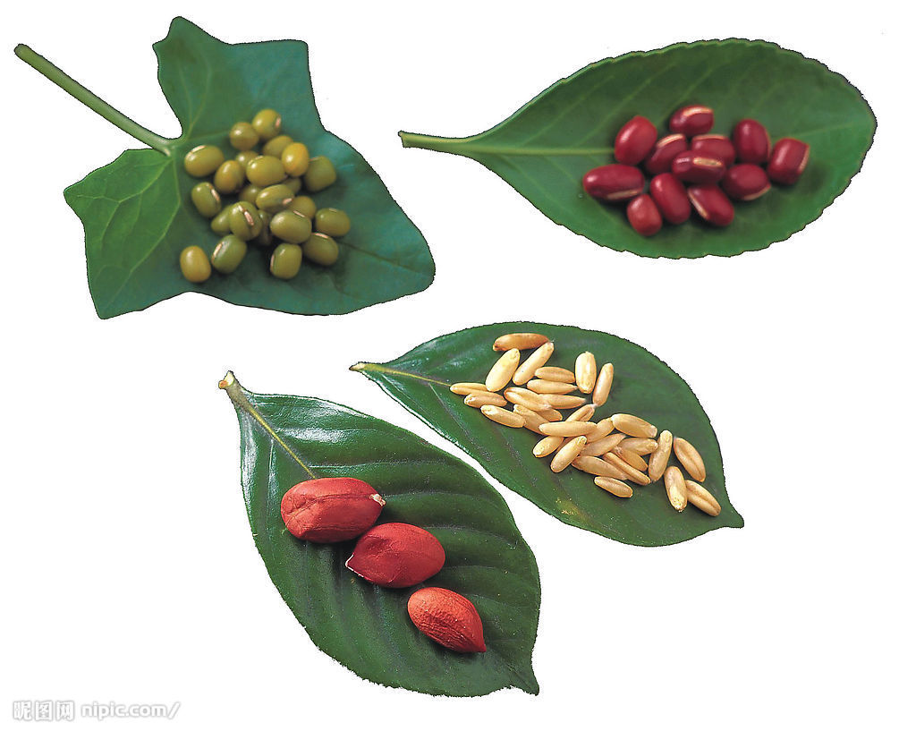 黄褐斑食疗方法