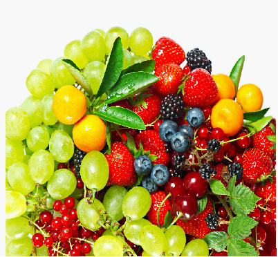 »ÆºÖ°ßµÄÕýÈ·Ô¤·À