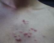 �ϲ����������ഺ��