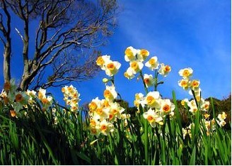 疥疮的间接传染途径有哪些