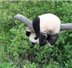 疥疮避免各种方式传播