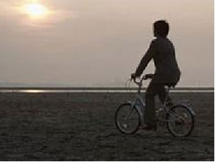 有了疥疮怎么办