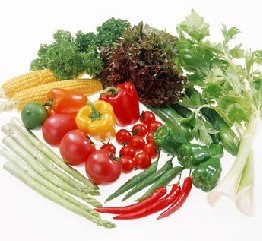 脱发患者的详细饮食介绍