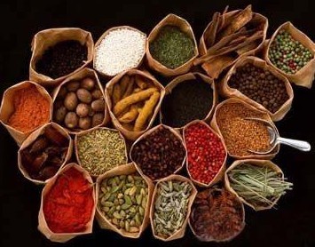 中药治疗脱发有哪些种类